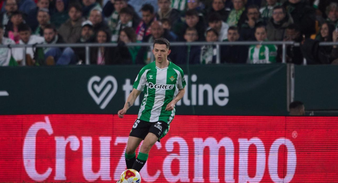 WhatsApp Image 2026-02-11 at 19.31.41